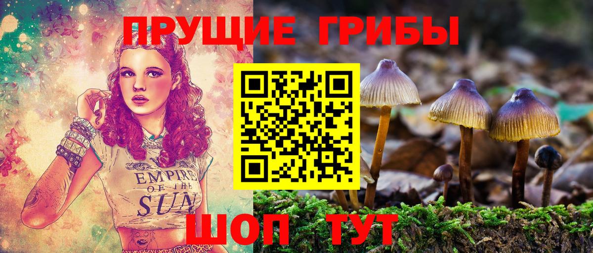 Псилоцибиновые грибы Cubensis Менделеевск